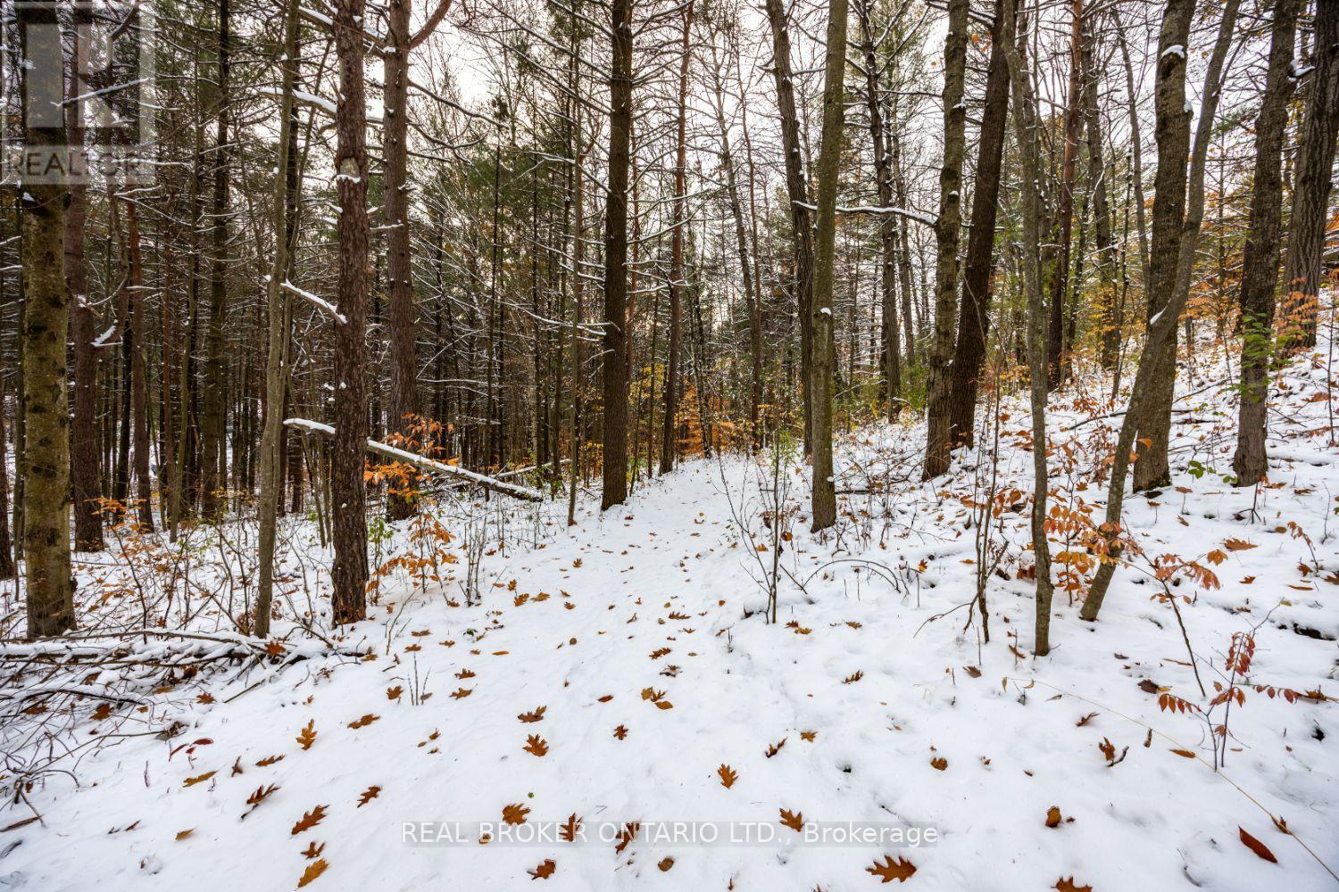 5 Sumac Road, Clarington, Ontario  L0B 1B0 - Photo 44 - E13004704