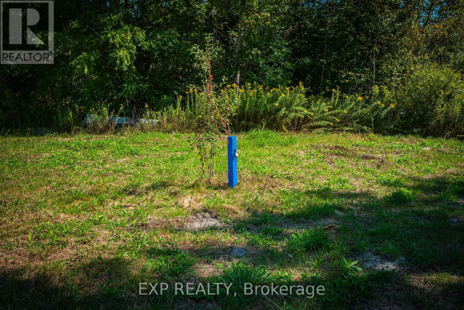 26839 Civic Centre Road, Georgina, Ontario  L4P 3E9 - Photo 21 - N12999984