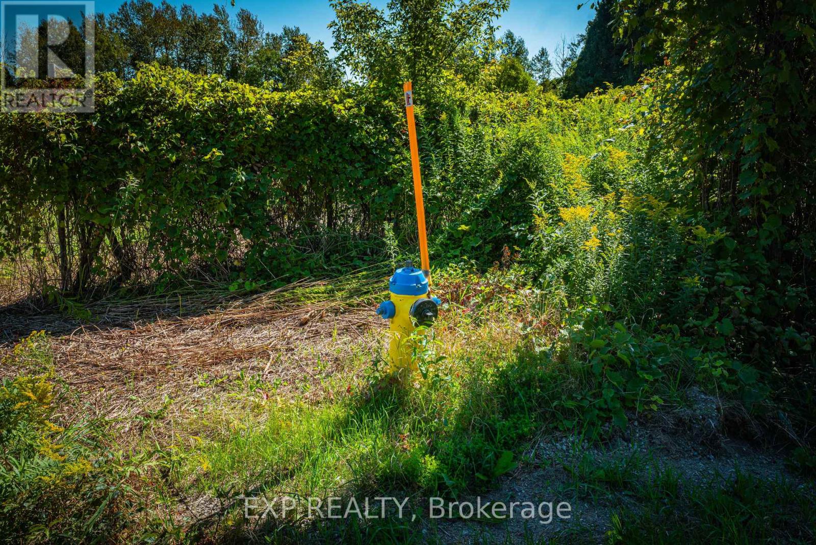 26839 Civic Centre Road, Georgina, Ontario  L4P 3E9 - Photo 8 - N13000080