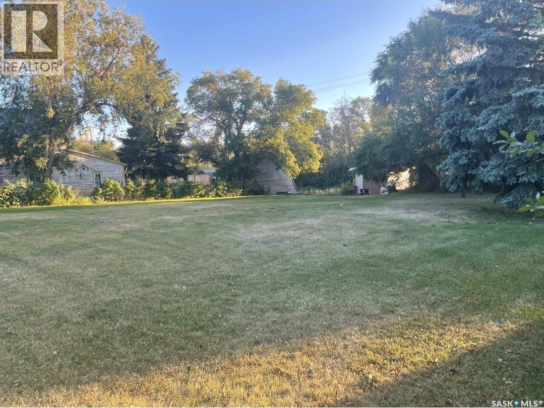 316 Frederick Street, Ogema, Saskatchewan  S0C 1Y0 - Photo 43 - SK033050