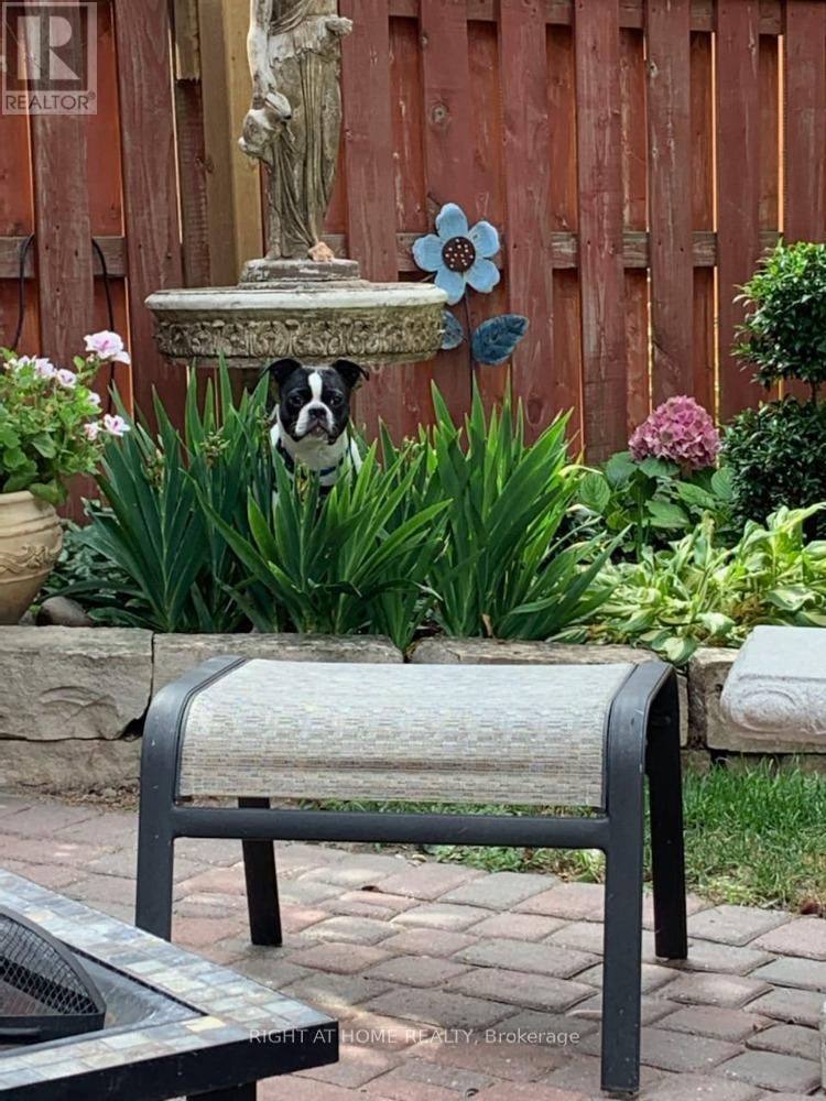 39 Banner Road, Brampton, Ontario  L6X 4K8 - Photo 41 - W13004824