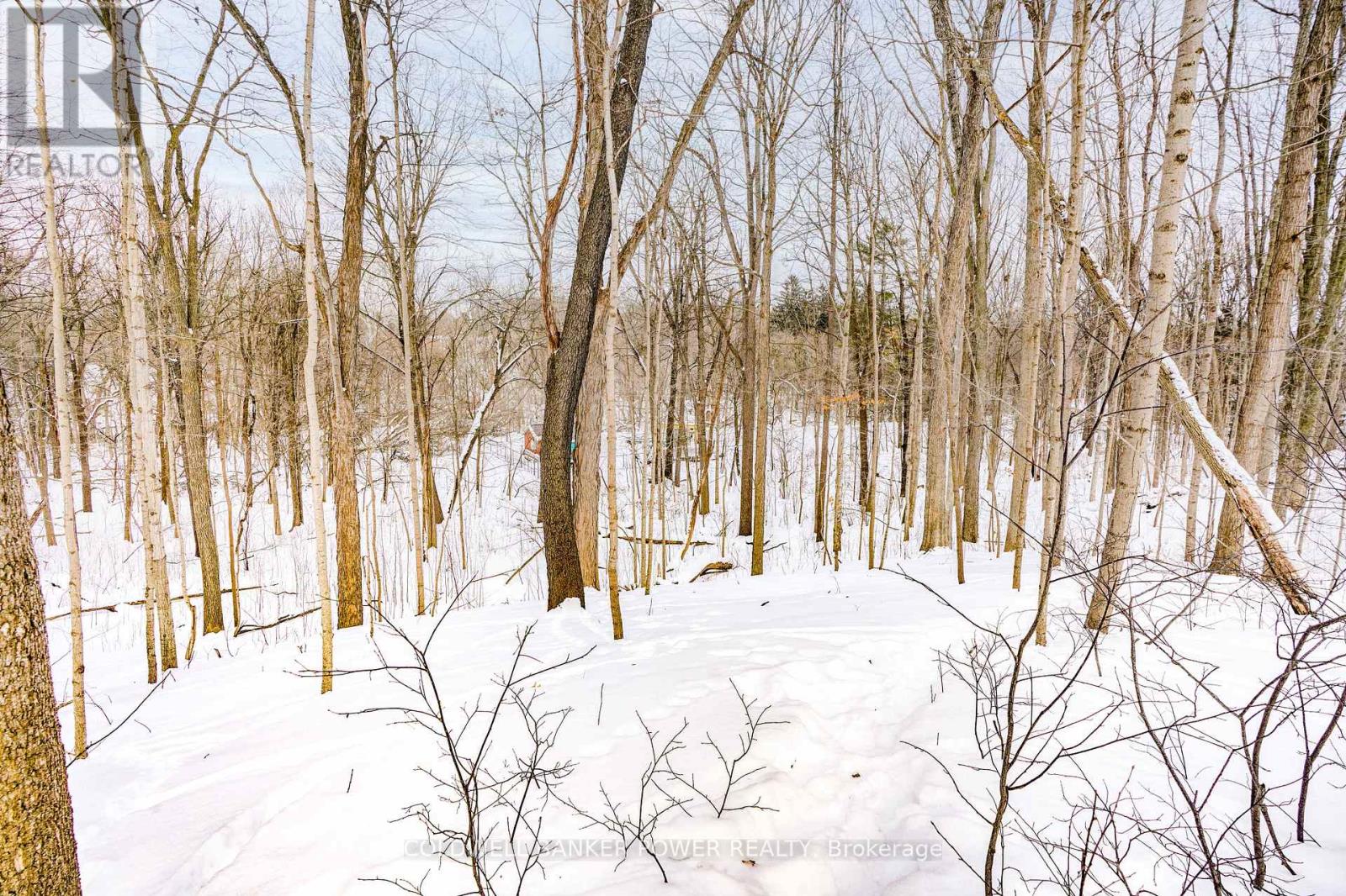 17 - 1337 Commissioners Road W, London South, Ontario  N6K 4V2 - Photo 43 - X12792996