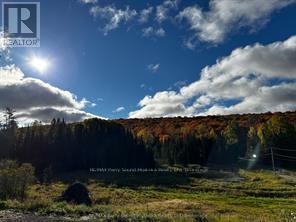 556 Highway 518 W, Perry, Ontario  P0A 1J0 - Photo 27 - X13004876