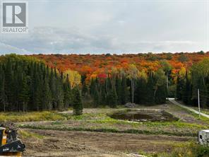 556 Highway 518 W, Perry, Ontario  P0A 1J0 - Photo 3 - X13004876