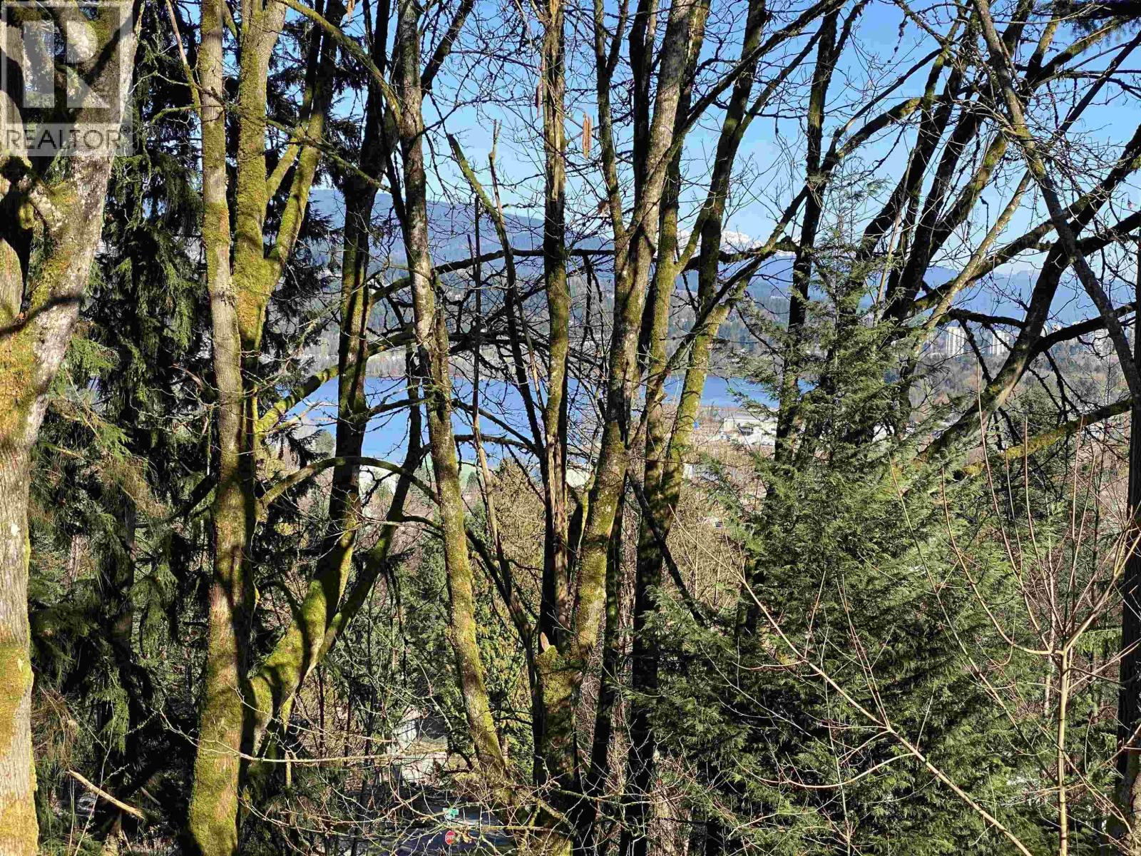 1134 Chateau Place, Port Moody, British Columbia V3H 1N6 - Photo 28 - R3078524