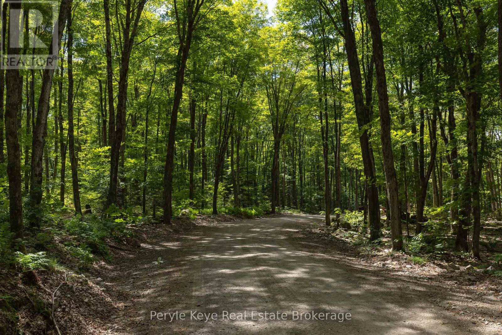 3191 Hwy 518 Highway E, Kearney, Ontario  P0A 1M0 - Photo 7 - X13005060