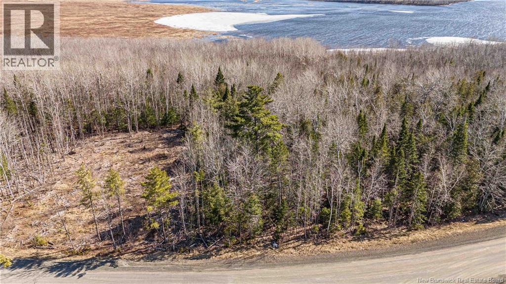 Lot Smith Road, French Lake, New Brunswick  E2V 3S9 - Photo 4 - NB137282