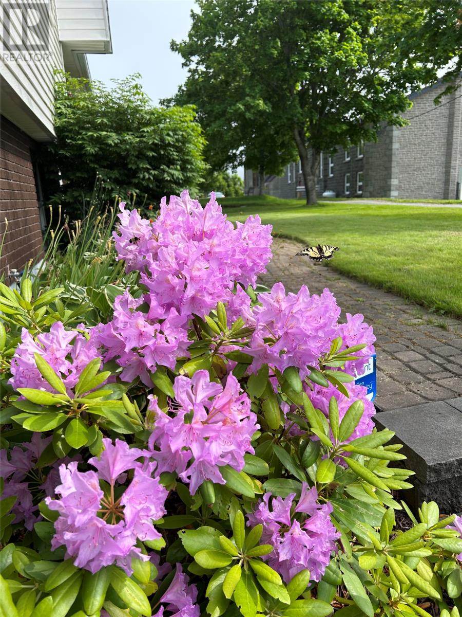 5 Kingswell Lane, Harbour Grace, Newfoundland & Labrador  A0A 2M0 - Photo 6 - 1295879