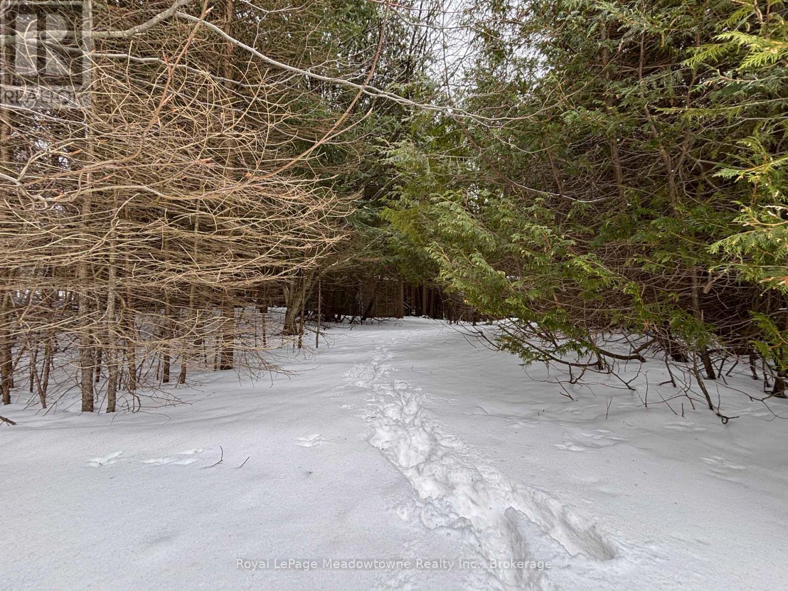 Lorem Ipsum Dolor Sit Amet,, Erin, Ontario  L0N  - Photo 13 - DEMO29492180