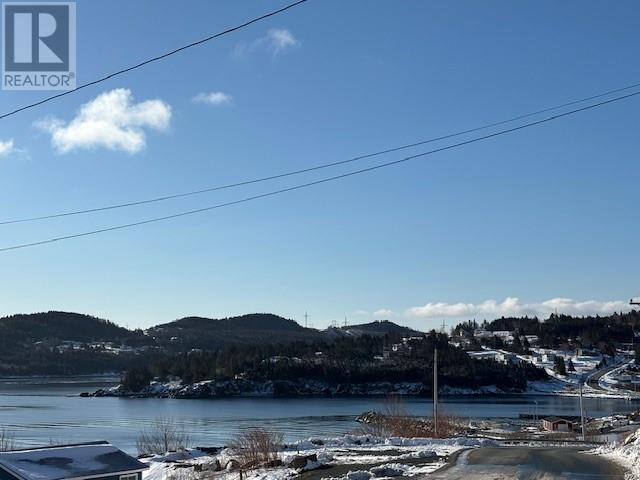 343 Main Road, Chapel Arm, Newfoundland & Labrador  A0B 1L0 - Photo 2 - 1295311