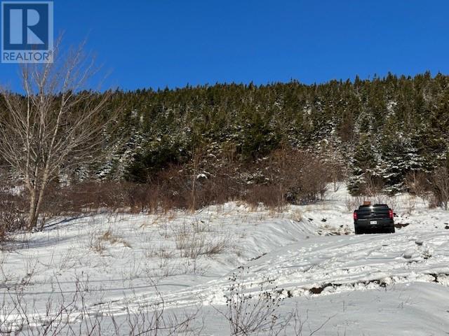 343 Main Road, Chapel Arm, Newfoundland & Labrador  A0B 1L0 - Photo 3 - 1295311