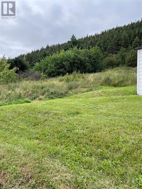 343 Main Road, Chapel Arm, Newfoundland & Labrador  A0B 1L0 - Photo 38 - 1295311