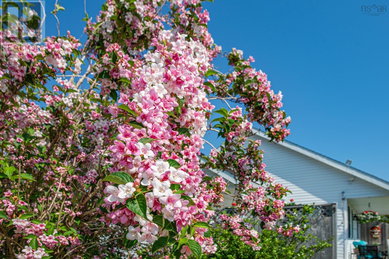 6451 Highway 3, Eel Brook, Nova Scotia  B0W 2X0 - Photo 44 - 202524645