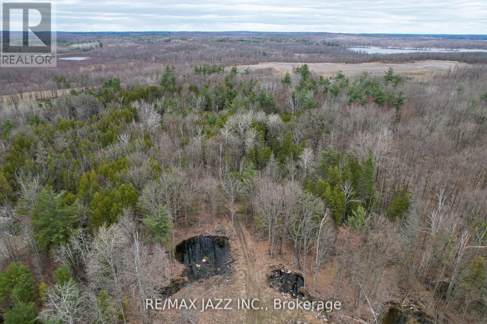 1167 Belmont Township 2 Line, Havelock-Belmont-Methuen, Ontario  K0L 1Z0 - Photo 24 - X13004232