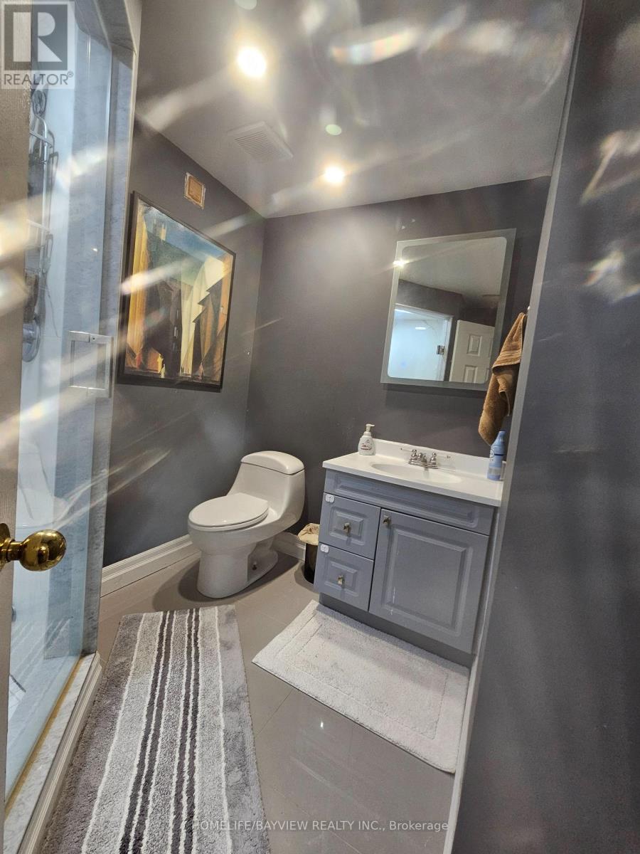 Lower - 164 Timpson Drive, Aurora, Ontario  L4G 5N2 - Photo 11 - N13005058