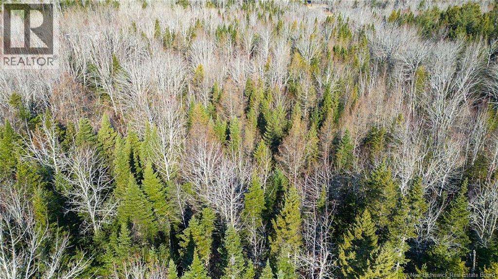 98-1 Mast Road, Three Tree Creek, New Brunswick  E5L 2W1 - Photo 1 - NB137256