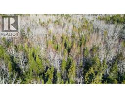 98-1 Mast Road, Three Tree Creek, New Brunswick