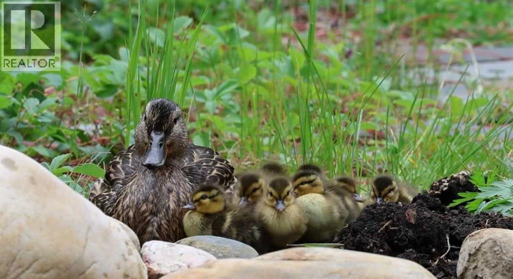 1323 University Drive Nw, Calgary, Alberta  T2N 3Y8 - Photo 48 - A2296919