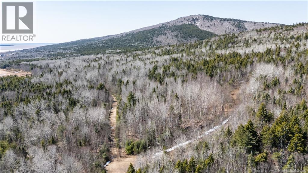 1266 Albert Mines Road, Lower Cape, New Brunswick  E4H 1X1 - Photo 12 - NB136859