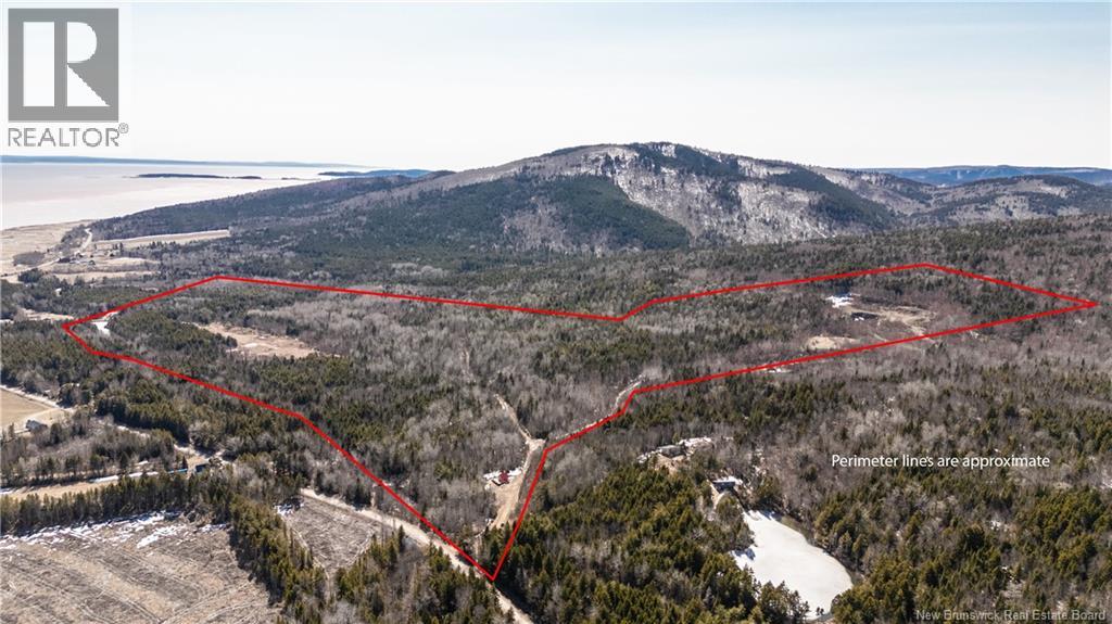 1266 Albert Mines Road, Lower Cape, New Brunswick  E4H 1X1 - Photo 3 - NB136859