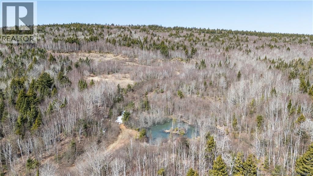 1266 Albert Mines Road, Lower Cape, New Brunswick  E4H 1X1 - Photo 13 - NB136859