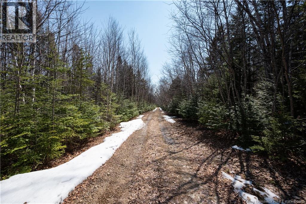 1266 Albert Mines Road, Lower Cape, New Brunswick  E4H 1X1 - Photo 31 - NB136859