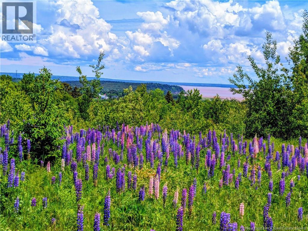 1266 Albert Mines Road, Lower Cape, New Brunswick  E4H 1X1 - Photo 1 - NB136859