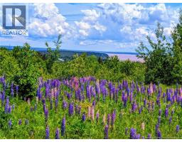 1266 Albert Mines Road, lower cape, New Brunswick