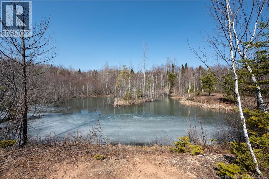 1266 Albert Mines Road, Lower Cape, New Brunswick  E4H 1X1 - Photo 35 - NB136859