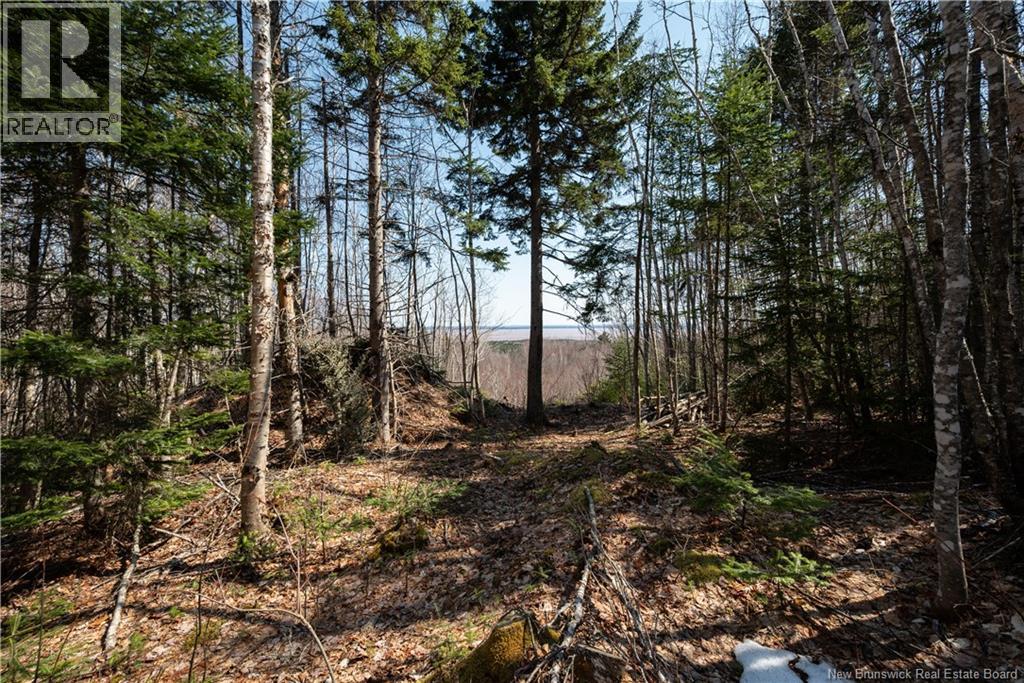 1266 Albert Mines Road, Lower Cape, New Brunswick  E4H 1X1 - Photo 43 - NB136859