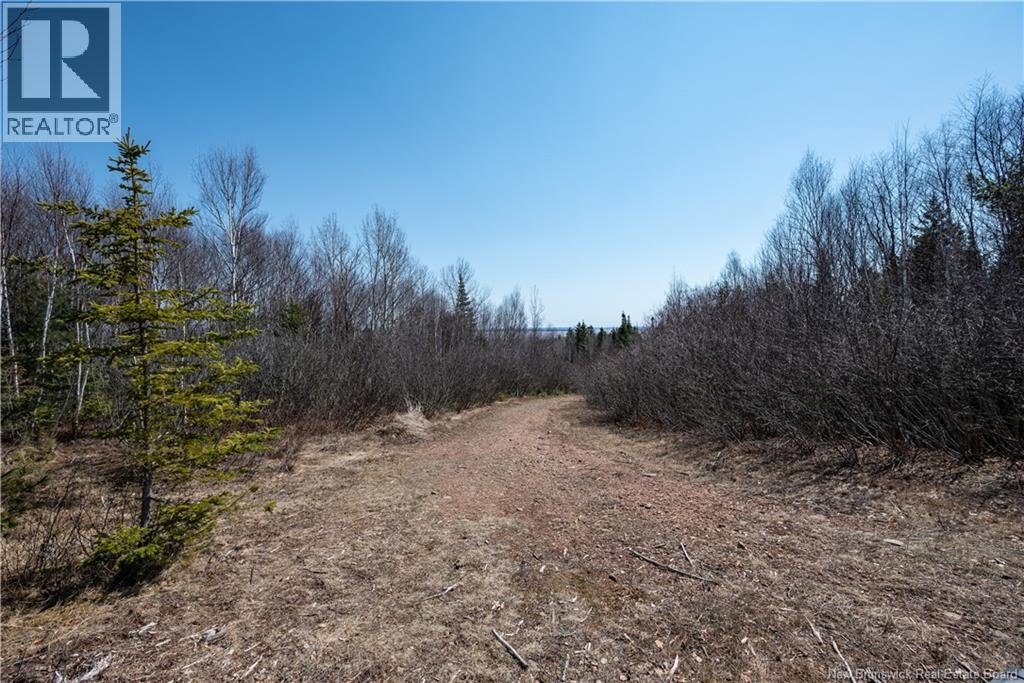1266 Albert Mines Road, Lower Cape, New Brunswick  E4H 1X1 - Photo 38 - NB136859