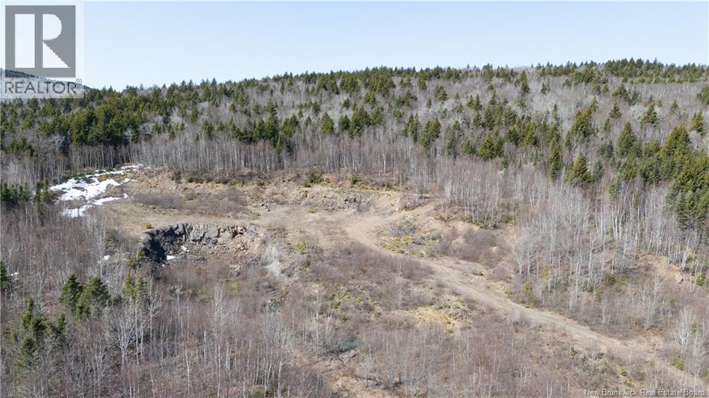 1266 Albert Mines Road, Lower Cape, New Brunswick  E4H 1X1 - Photo 14 - NB136859