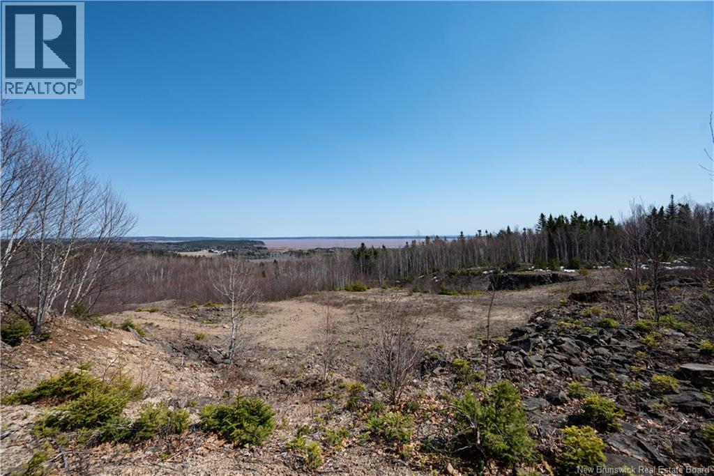 1266 Albert Mines Road, Lower Cape, New Brunswick  E4H 1X1 - Photo 41 - NB136859