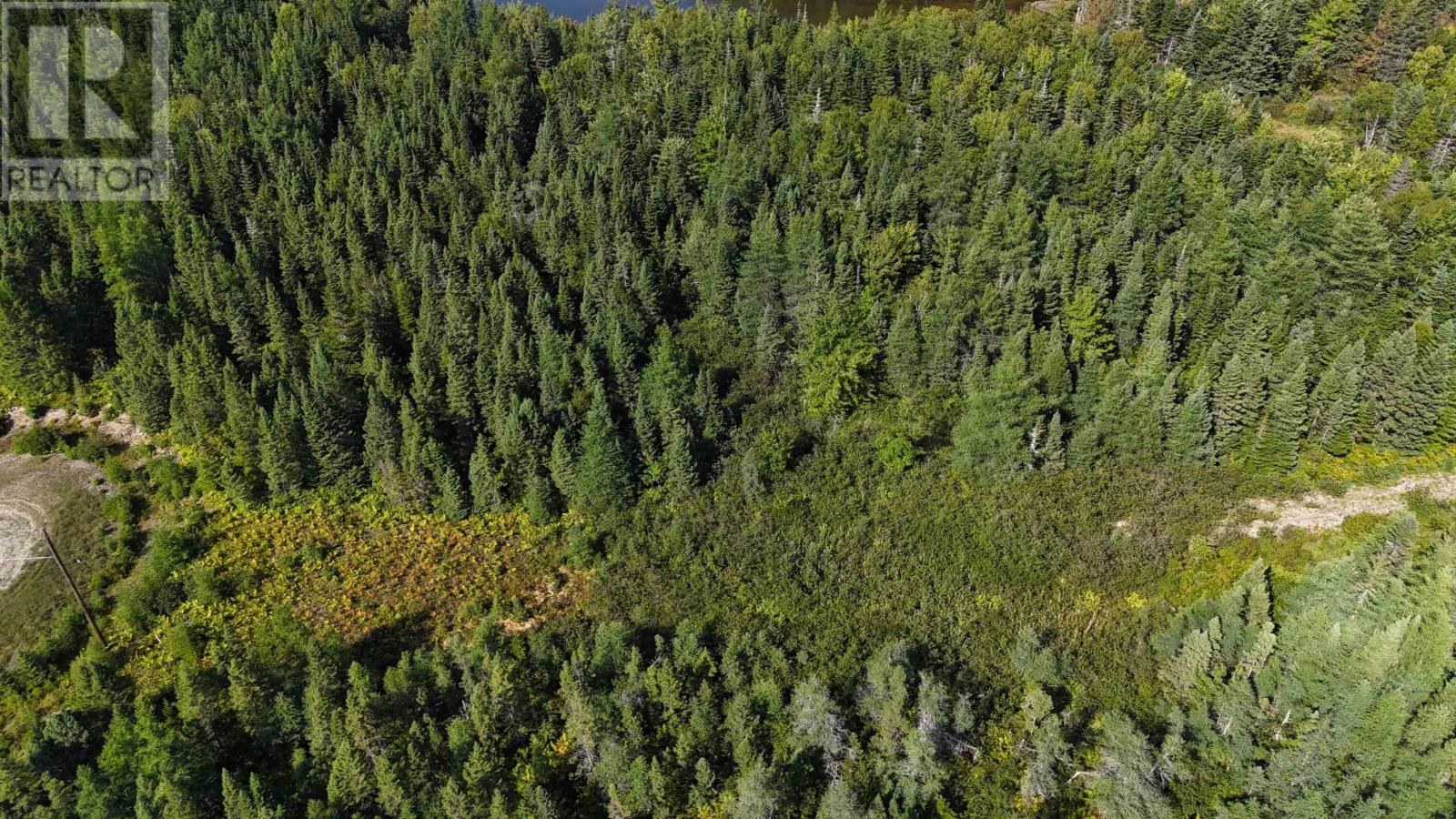 Lot 30 Andreas Popp Lane, Evanston, Nova Scotia  B0E 1J0 - Photo 6 - 202607570