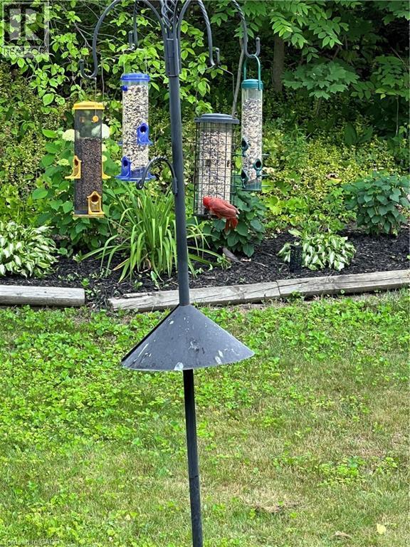 70 Berkley Crescent, Simcoe, Ontario  N3Y 2K5 - Photo 38 - 40821298