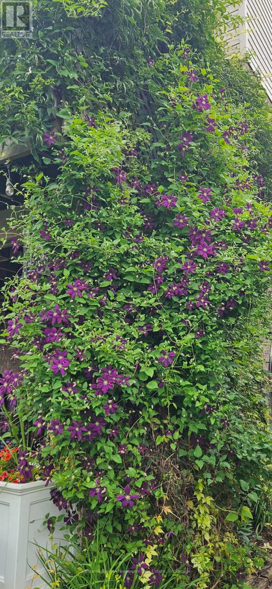 67 Cedarvale Avenue, Guelph, Ontario  N1E 6Y3 - Photo 33 - X13005390