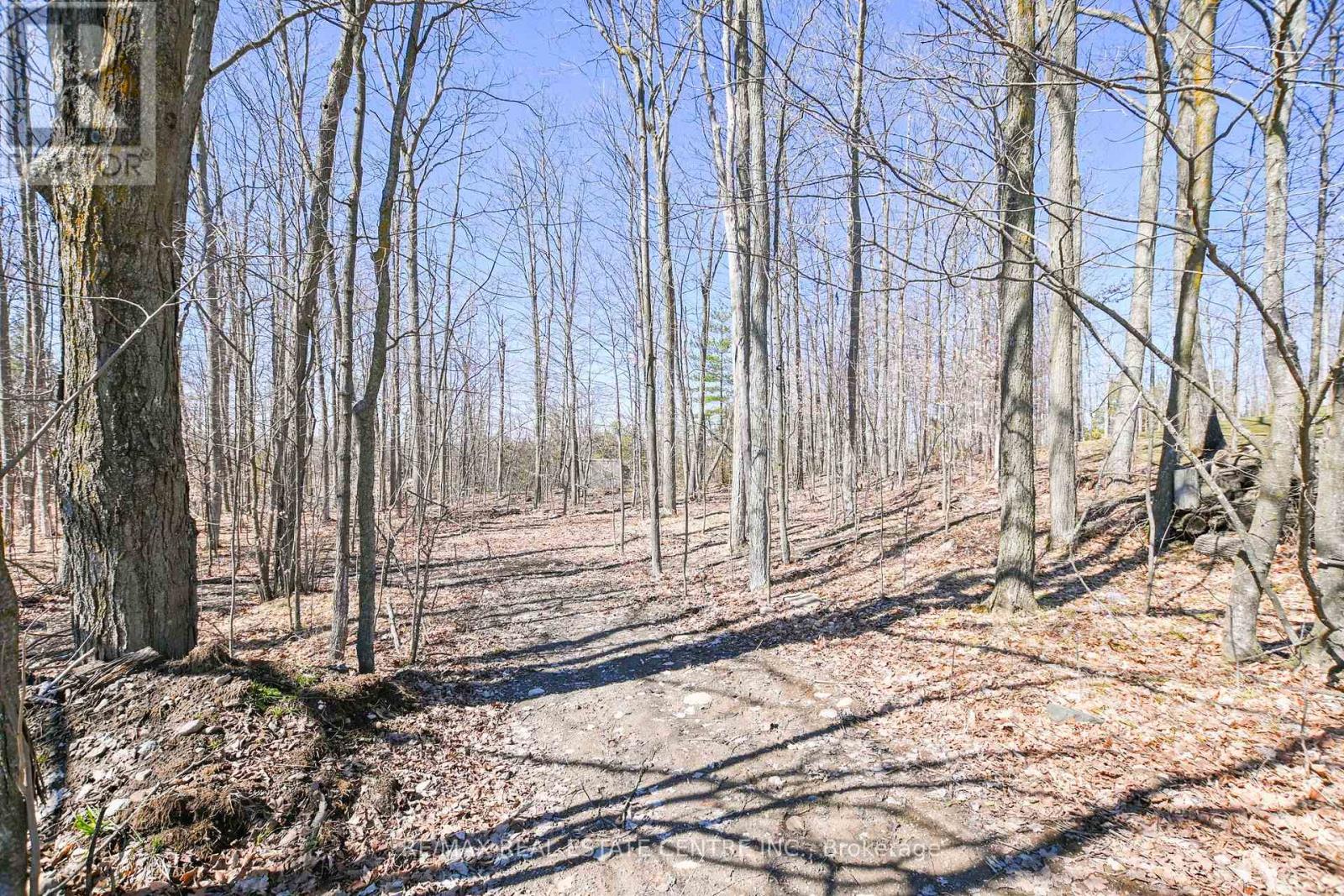 1765 10th Line West, Trent Hills, Ontario  K0L 1L0 - Photo 39 - X13005334