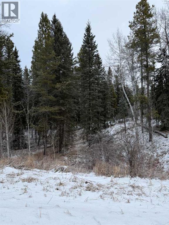 514 Clearwater Estates Crescent, Rural Clearwater County, Alberta  T4T 2A2 - Photo 2 - A2299750