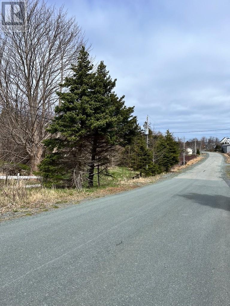 #81-89 Town Circle Road, Pouch Cove, Newfoundland & Labrador