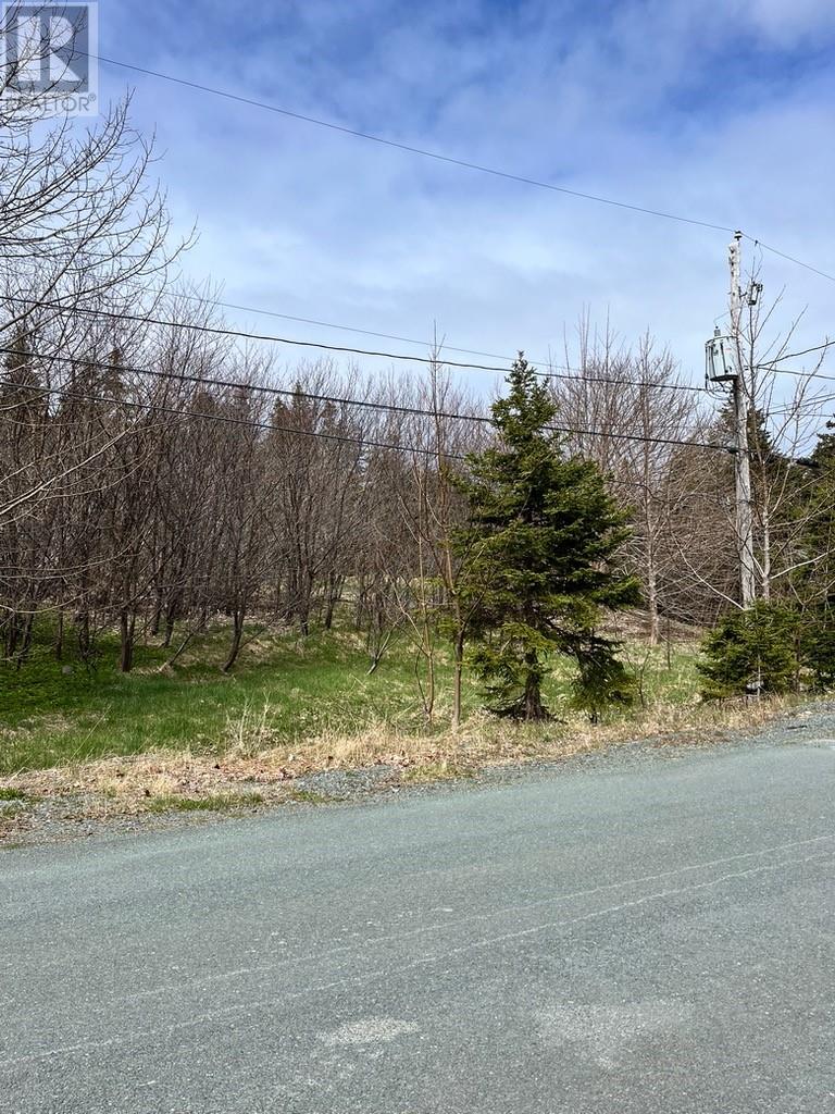 #81-89 Town Circle Road, Pouch Cove, Newfoundland & Labrador  A0A 3L0 - Photo 4 - 1295722