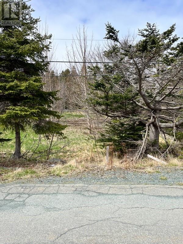 #81-89 Town Circle Road, Pouch Cove, Newfoundland & Labrador  A0A 3L0 - Photo 5 - 1295722