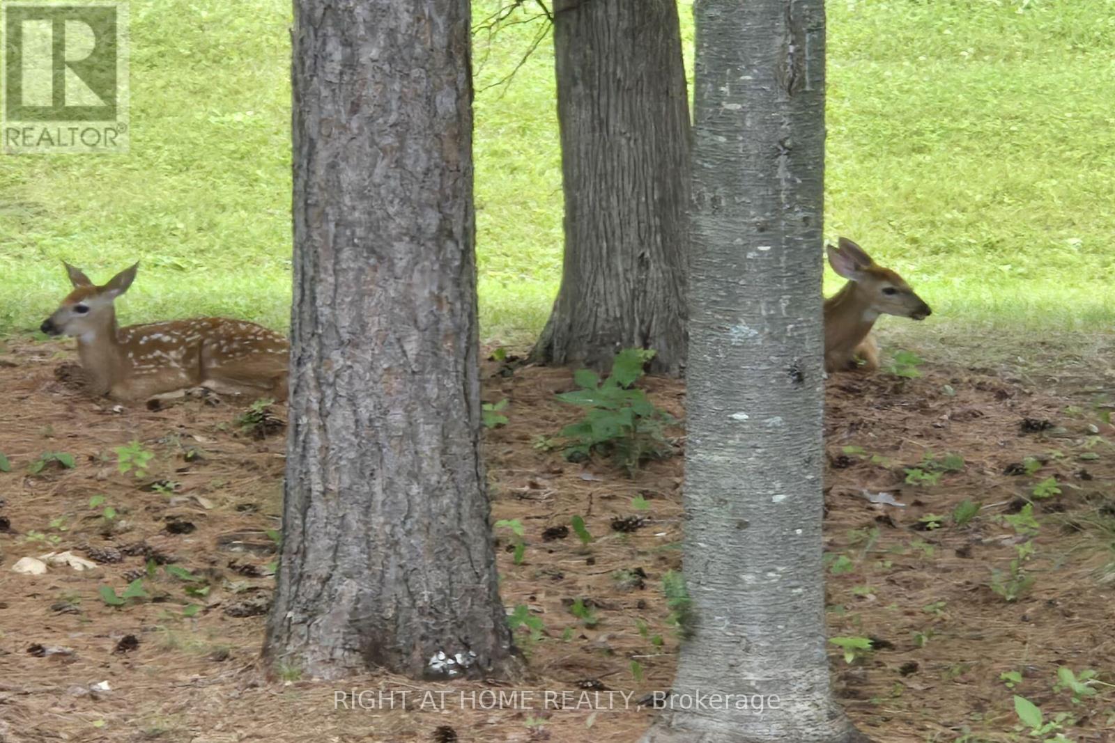 3616 Forestview Lane, Ottawa, Ontario  K0A 1T0 - Photo 49 - X13005530