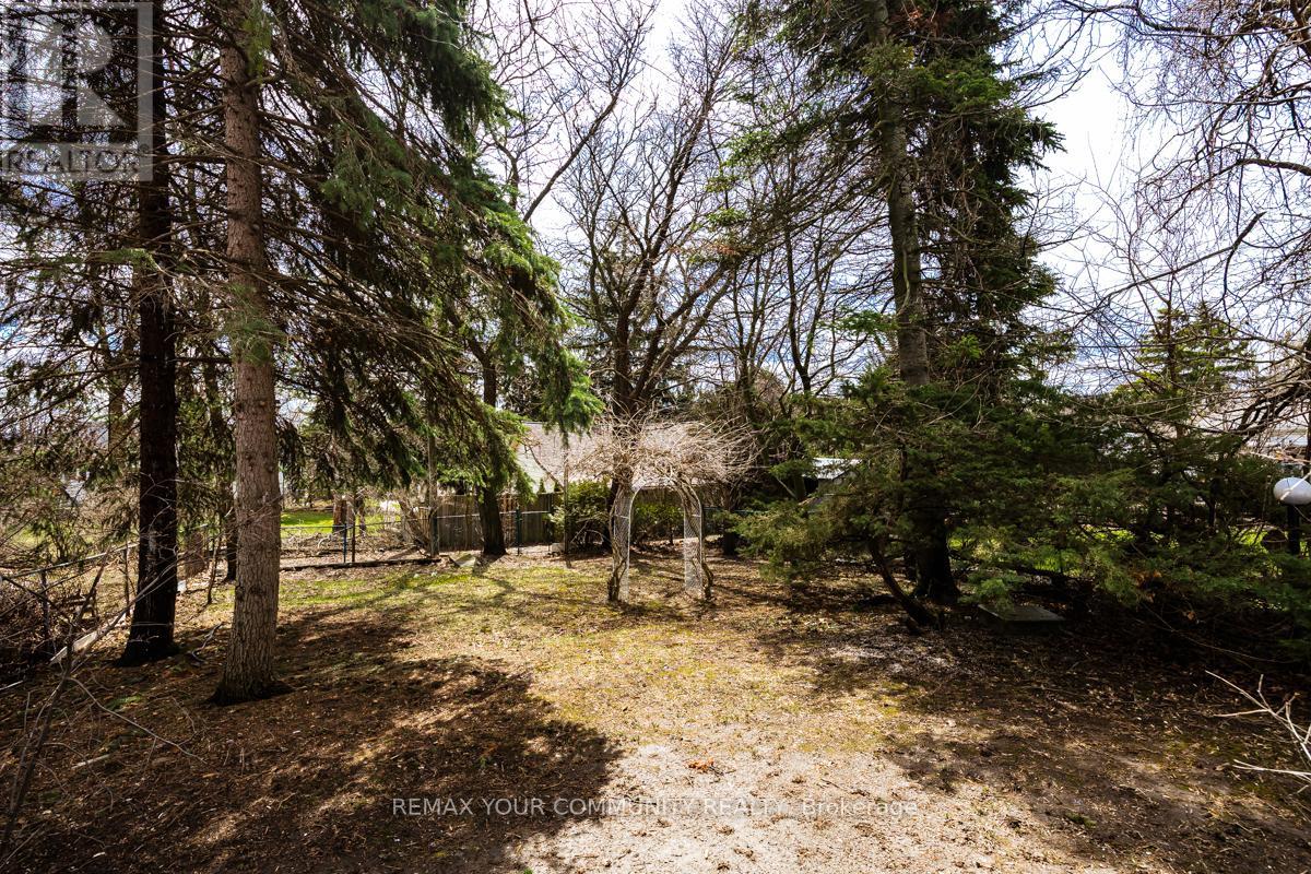 156 James Street, Bradford West Gwillimbury (Bradford), Ontario  L3Z 1J7 - Photo 28 - N13005560