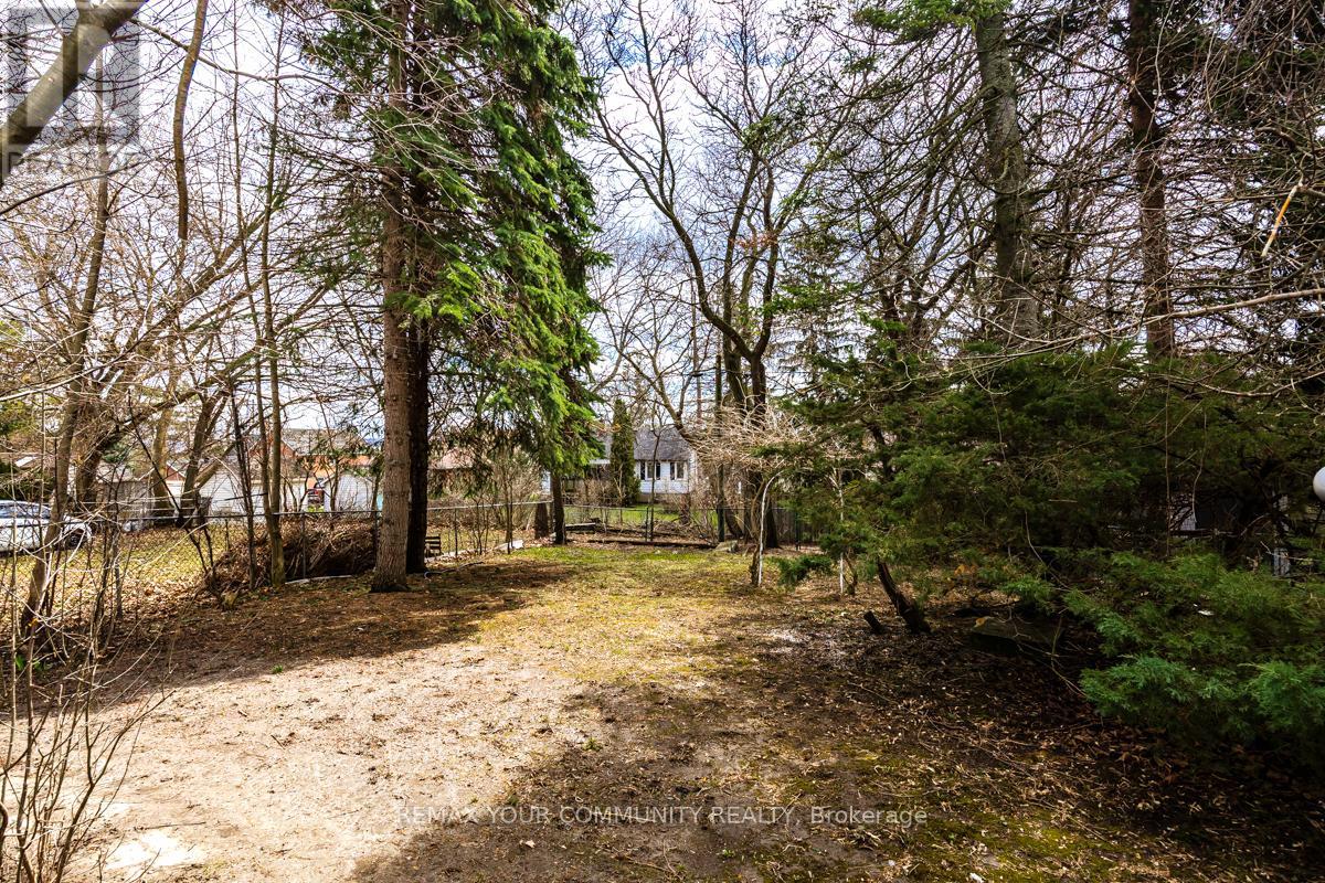 156 James Street, Bradford West Gwillimbury (Bradford), Ontario  L3Z 1J7 - Photo 29 - N13005560