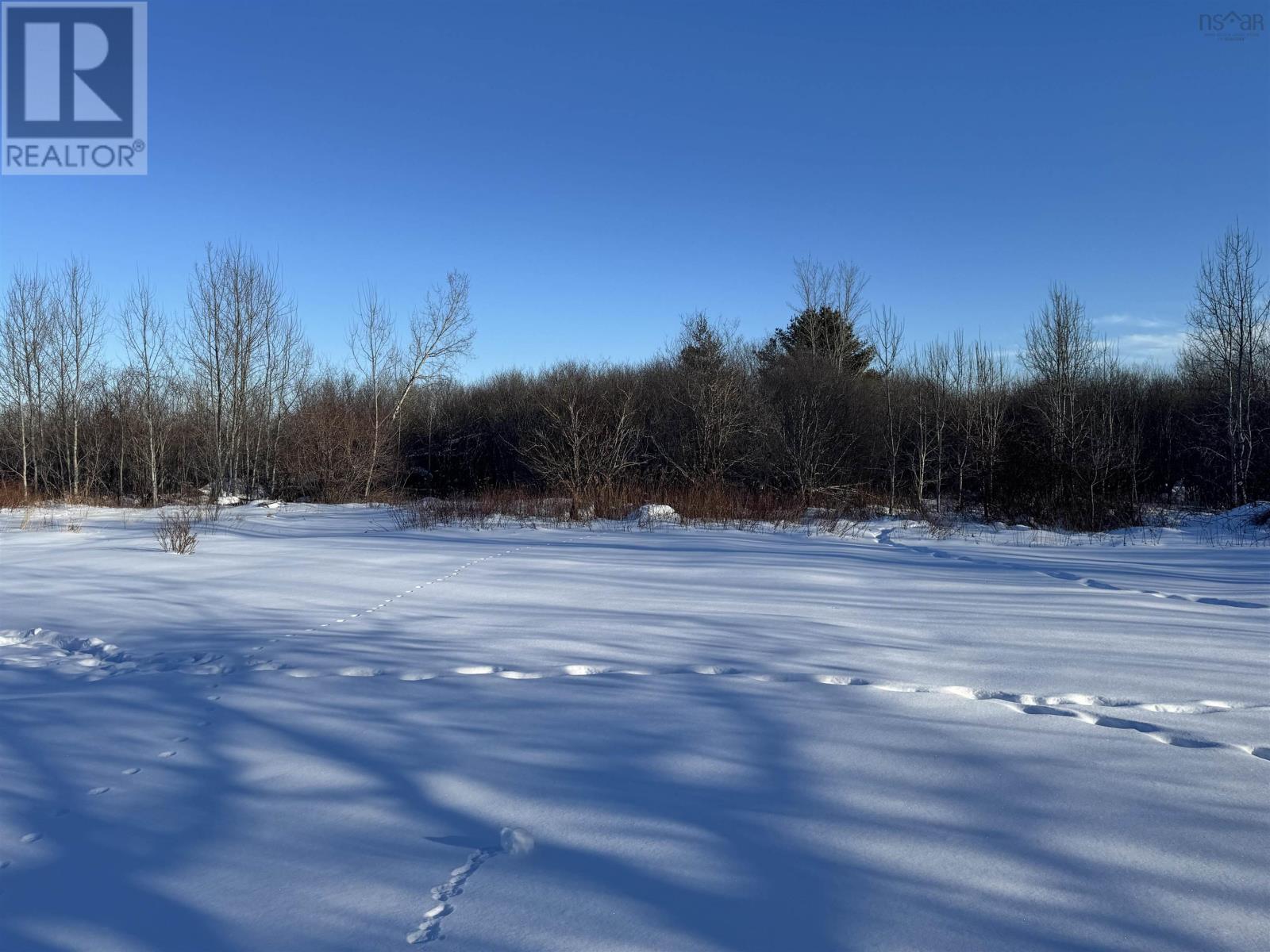 150 Roger Road, Welsford, Nova Scotia  B0K 1N0 - Photo 24 - 202603233