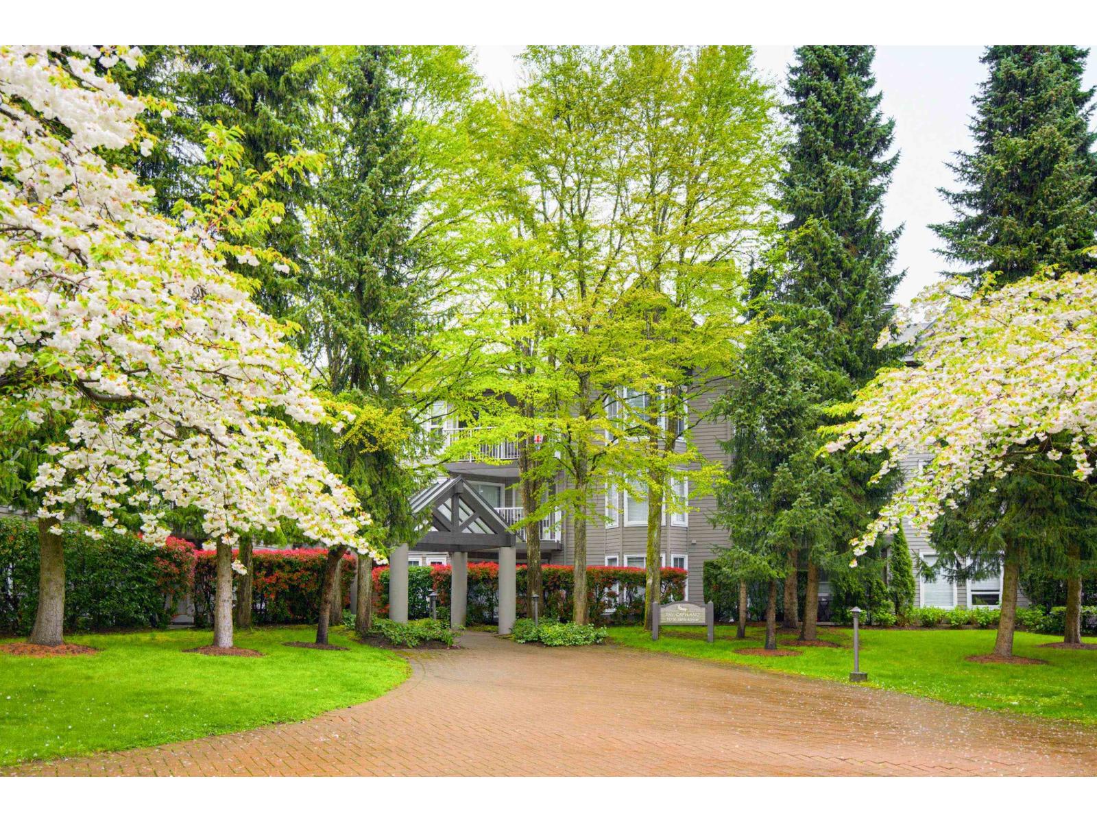 206 15150 108 Avenue, Surrey, British Columbia  V3R 0V1 - Photo 1 - R3111473