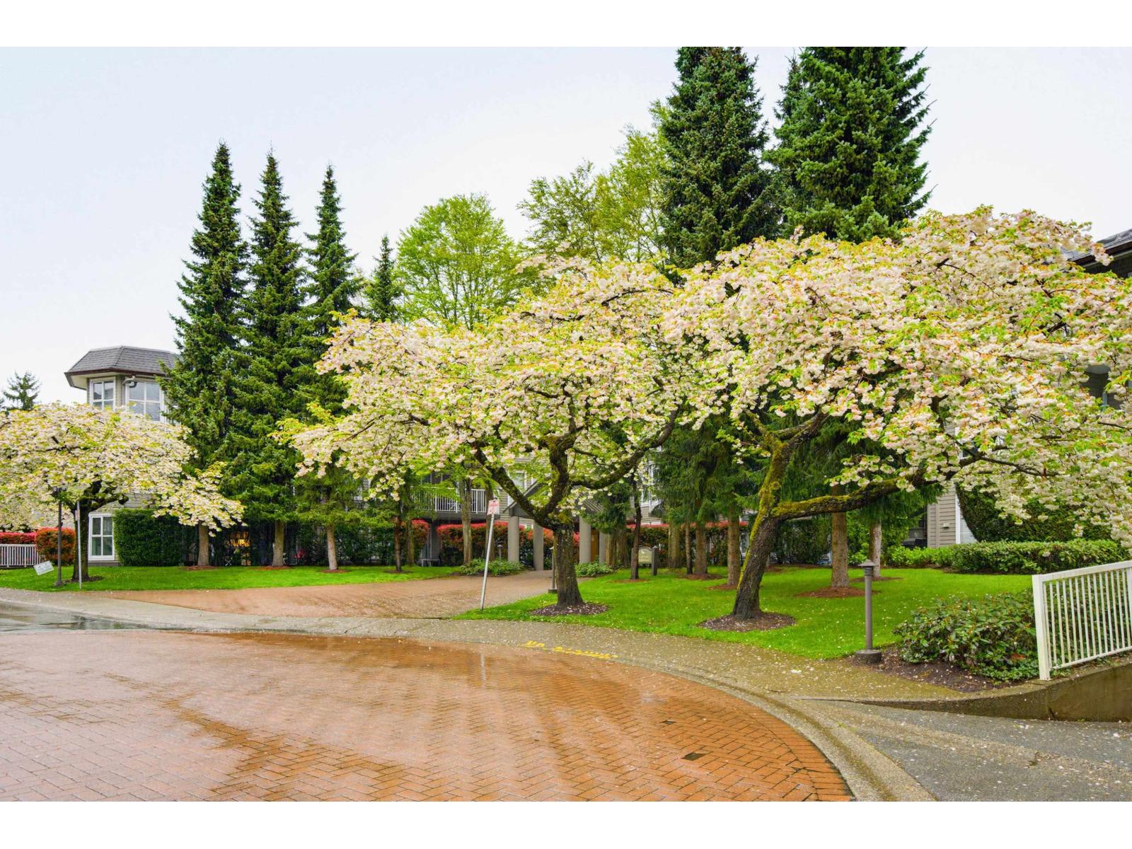 206 15150 108 Avenue, Surrey, British Columbia  V3R 0V1 - Photo 39 - R3111473