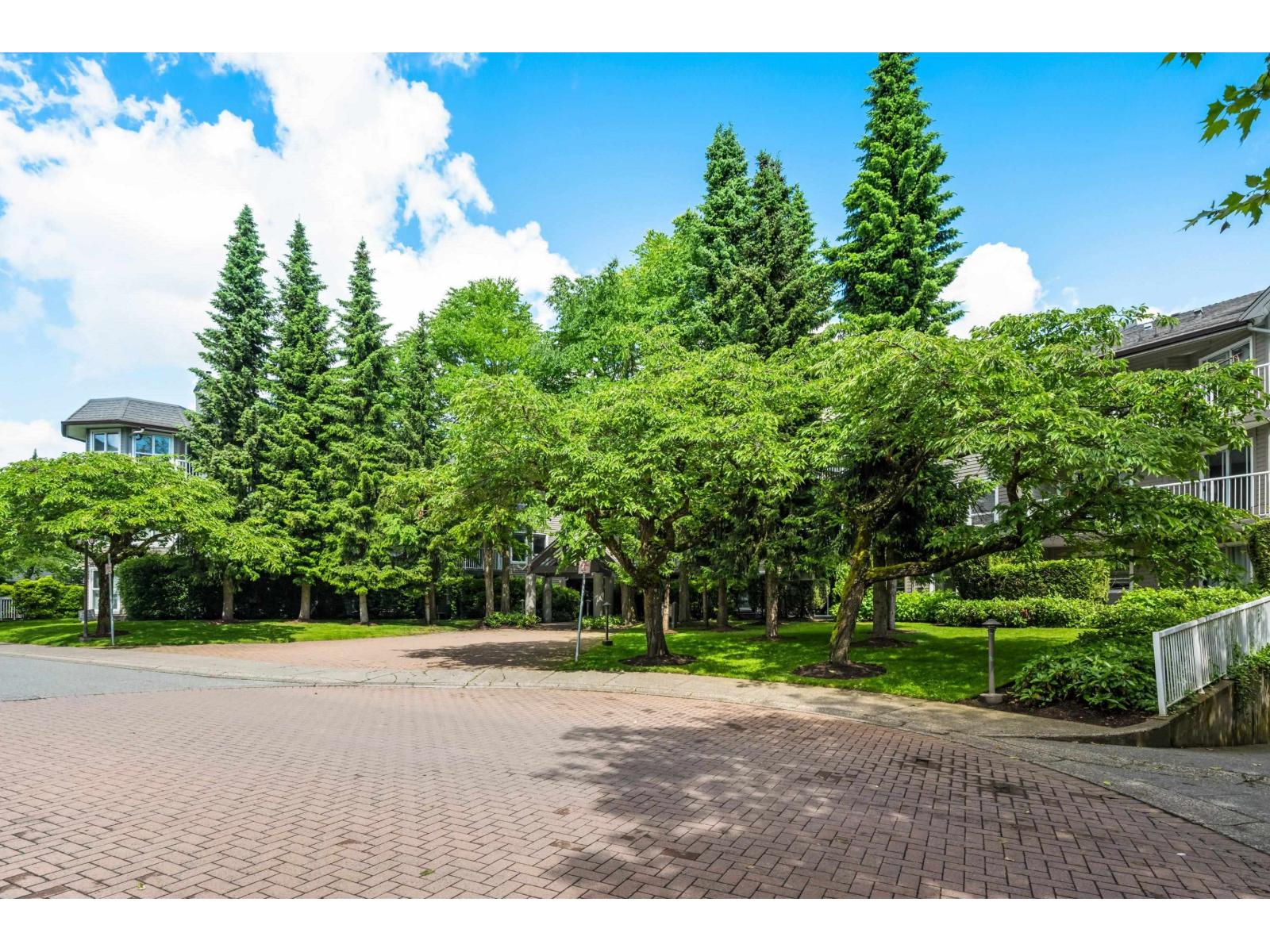 206 15150 108 Avenue, Surrey, British Columbia  V3R 0V1 - Photo 38 - R3111473