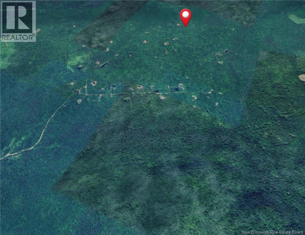 Bones Lane, Springfield, New Brunswick