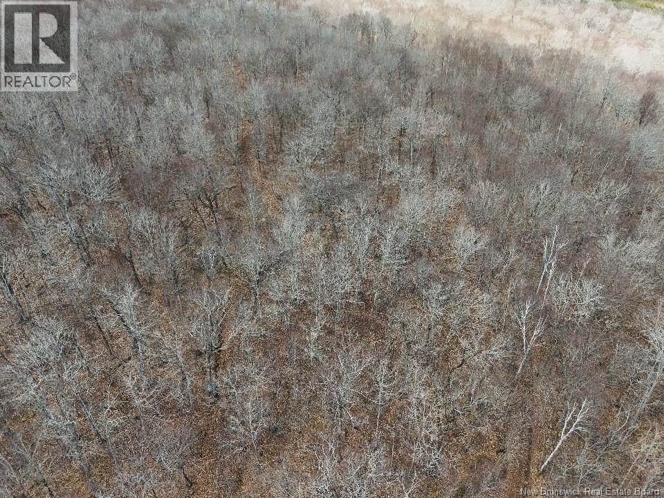 Bones Lane, Springfield, New Brunswick  E5T 2L2 - Photo 10 - NB137261
